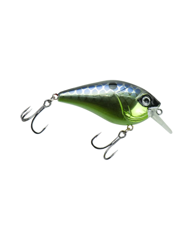 CULLEM Pro Series Squarebill Crankbait | Bass, Carp & Camping Fishing Tackle store