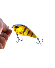 Cullem Pro Series Bouncer Squarebill | Bass, Carp & Camping