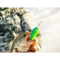 6th Sense Cloud 9 C6 Crankbait | Bass, Carp & Camping
