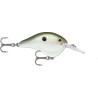 Rapala DT14 Series | Bass Fishing Crankbaits, Shop Bass, Carp & Camping store