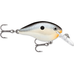 Rapala DT14 Series | Bass Fishing Crankbaits, Shop Bass, Carp & Camping store