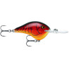 Rapala DT16 Series | Bass Fishing Crankbaits, Shop Bass, Carp & Camping store
