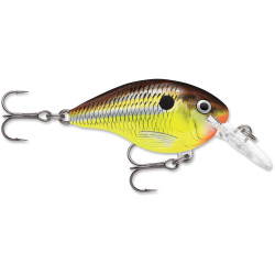 Rapala DT16 Series | Bass Fishing Crankbaits, Shop Bass, Carp & Camping store