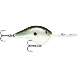 Rapala DT® Metal 20 Series | Bass Fishing Crankbaits, Shop Bass, Carp & Camping store