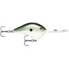 Rapala DT® Metal 20 Series | Bass Fishing Crankbaits, Shop Bass, Carp & Camping store