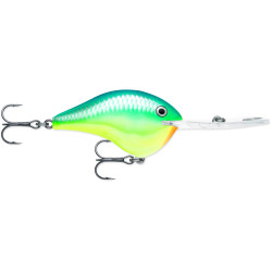 Rapala DT® Metal 20 Series | Bass Fishing Crankbaits, Shop Bass, Carp & Camping store