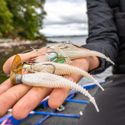 CrushCity Freeloader Soft Plastics for Bass Fishing | Bass, Carp & Camping Outdoors
