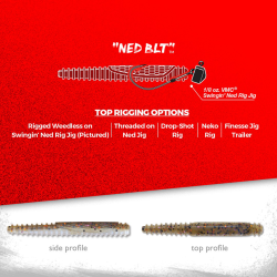 Rapala CrushCity NED BLT Soft Bait | Bass & Freshwater Fishing