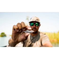 6th Sense Fiction Shad Soft Plastic FFS Bait | Fishing Tackle