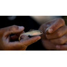 6th Sense Fiction Shad Soft Plastic FFS Bait | Fishing Tackle