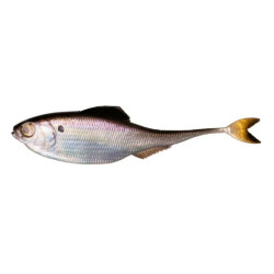 6th Sense Fiction Shad Soft Plastic FFS Bait | Fishing Tackle