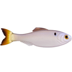 6th Sense Panorama Minnow Lure for Bass Fishing | SA Tackle Store