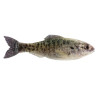 6th Sense Panorama Minnow Lure for Bass Fishing | SA Tackle Store