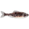 6th Sense Panorama Minnow Lure for Bass Fishing | SA Tackle Store