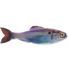 6th Sense Panorama Minnow Lure for Bass Fishing | SA Tackle Store