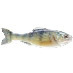6th Sense Panorama Minnow Lure for Bass Fishing | SA Tackle Store