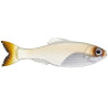 6th Sense Panorama Minnow Lure for Bass Fishing | SA Tackle Store