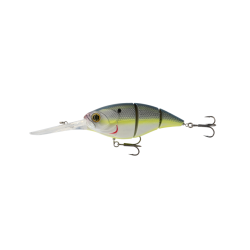 6th Sens Unit 7.8" 22-26ft - Citrus 6