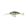 6th Sens Unit 7.8" 22-26ft - Citrus 6