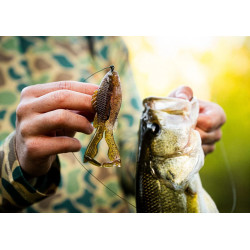 6th Sense BuzzGill Topwater & Trailer Lure | Fishing Tackle Store