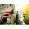 6th Sense BuzzGill Topwater & Trailer Lure | Fishing Tackle Store