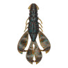 6th Sense Congo Craw Soft Plastic | Pitching & Punching Bait