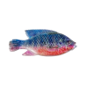 Cullem Pro Series Kurper Fishing Baits | South Africa Fishing Tackle