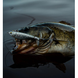 6th Sense Scramble Lure | High-Action Topwater Bass Fishing Tackle