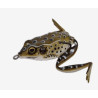 PESCA Top Water Frog Lure for Bass Fishing | Bass, Carp & Camping
