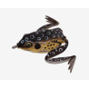 PESCA Top Water Frog Lure for Bass Fishing | Bass, Carp & Camping