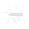 Z-Man Fuzzy BugZ Soft Plastics | Bass, Carp & Camping