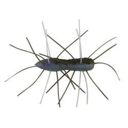 Z-Man Fuzzy BugZ Soft Plastics | Bass, Carp & Camping