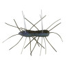 Z-Man Fuzzy BugZ Soft Plastics | Bass, Carp & Camping