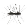 Z-Man Fuzzy BugZ Soft Plastics | Bass, Carp & Camping