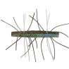 Z-Man Fuzzy TRD Soft Plastics | Bass, Carp & Camping