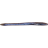 ZOOM Bait Co Soft Plastic Finesse Worms | Bass, Carp & Camping