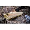 6th Sense SplashBack Popper | Silent Bass Topwater Lure | Bass, Carp & Camping Tackle Store