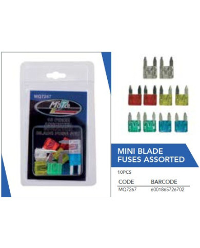 Leisure Quip Assorted Mini 12V Blade Fuses 10 Piece | Bass, Carp & Camping