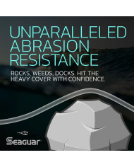 Seaguar Red Label Fluorocarbon Bass Fishing Line | Bass, Carp & Camping