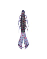 6th Sense Bodega Craw 3.5" Bass Fishing Soft Craw Bait | Bass, Carp & Camping