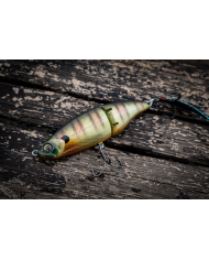6th Sense Speed Glide 100 Glide Bait for Bass Fishing | Bass, Carp & Camping