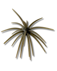 Blue Water Gear Phage Bomb TPE Urchin Dice Bait | Bass, Carp & Camping