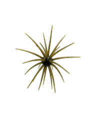 Dead Stick Baits Prickle Ball Urchin Style Bass Baits | Bass, Carp & Camping