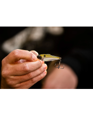6th Sense Divine Jigging Spoon 1oz | Premium Bass Fishing Lure | Bass, Carp & Camping