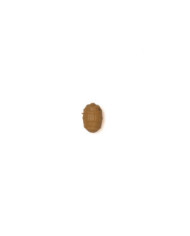 Monster Carp Artificial Fake tigernut | Carp Fishing Baits | Bass, Carp & Camping
