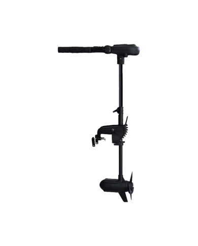 Haswing Protruar Brushless Transom Mount Trolling Motor | Bass, Carp & Camping