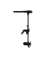 Haswing Protruar Brushless Transom Mount Trolling Motor | Bass, Carp & Camping