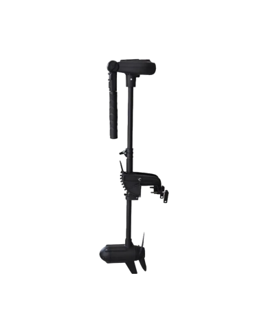 Haswing Protruar Brushless Transom Mount Trolling Motor | Bass, Carp & Camping
