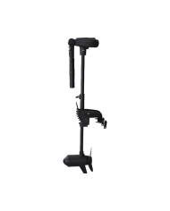 Haswing Protruar Brushless Transom Mount Trolling Motor | Bass, Carp & Camping