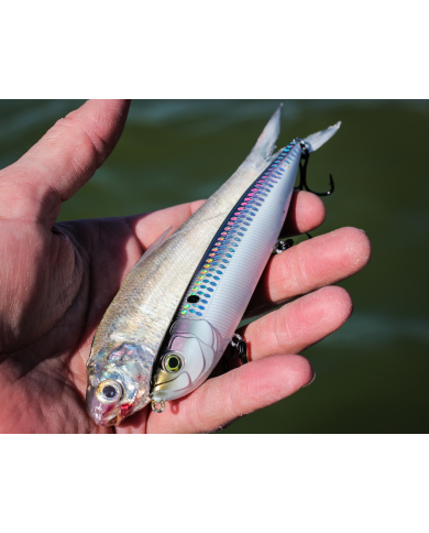 6th Sense CatWalk 4.6" Topwater Lure | Bass, Carp & Camping